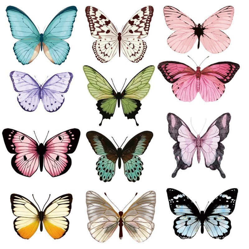 12pcs 3D Butterfly Wall Sticke - Art Craft Room 评论和价格
