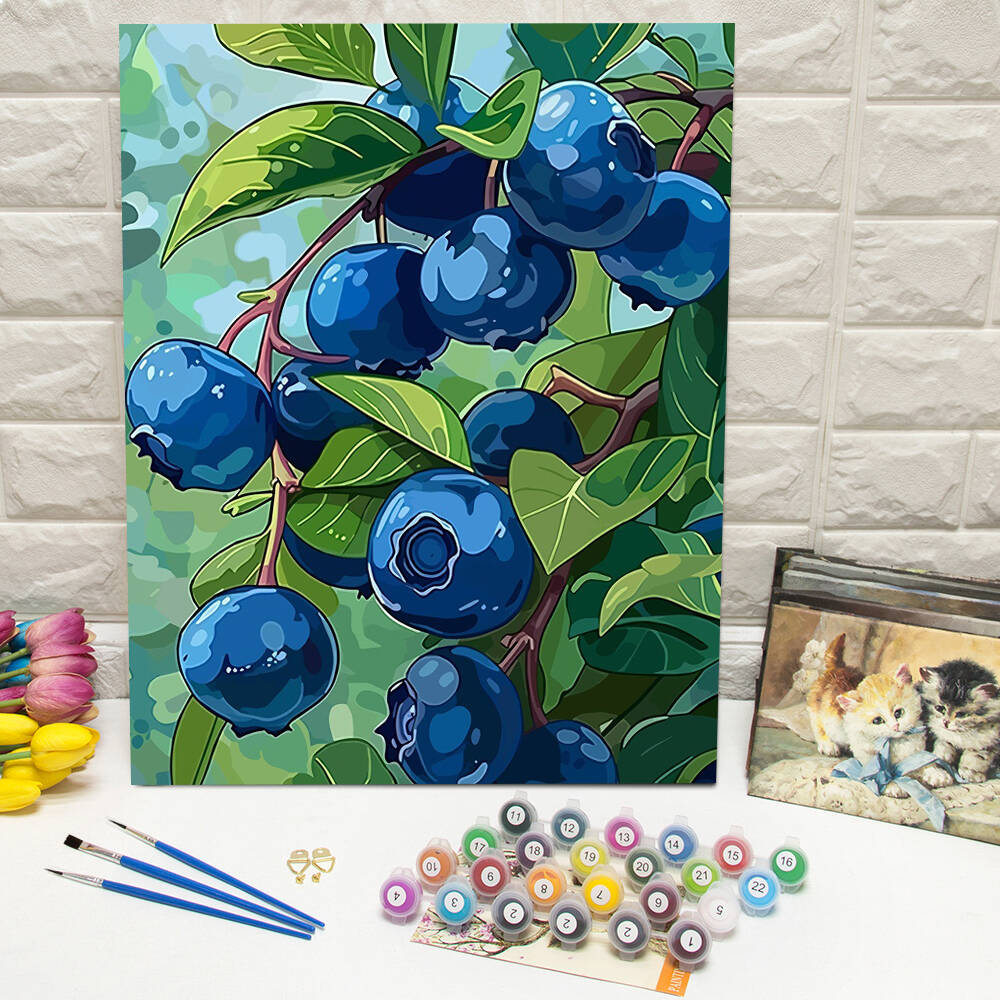 DIY Drawing By Numbers Blueber - Art Craft Room 评论和价格
