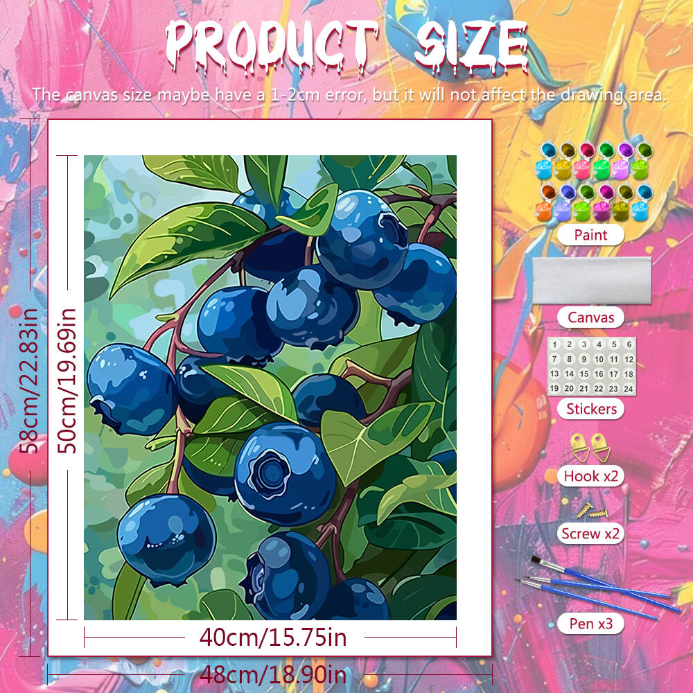 DIY Drawing By Numbers Blueber - Art Craft Room 评论和价格